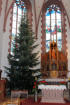 Christbaum neben dem Hochaltar